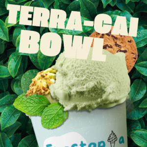 Terra-cai Bowl